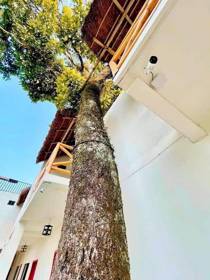 Hotel Sierra Linda Xilitla ภายนอก รูปภาพ